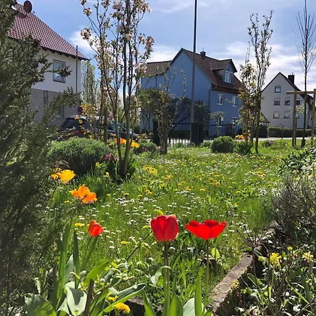 Pensjonat In Gelb, Mit Balkon, Kamin, 50 Schritte Zu Radweg, Ideal For Long Stay, 4 Singles In Single